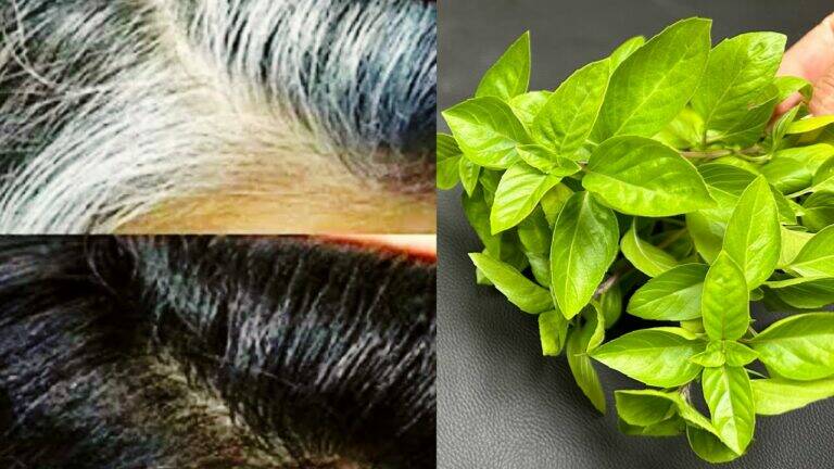 Watch how one simple technique transformed dull hair into stunning beauty…