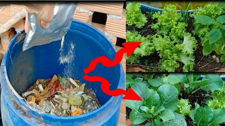 This simple kitchen waste trick transforms your garden into a thriving paradise…