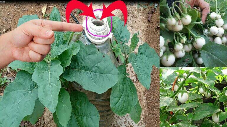 This simple gesture turns a trashy bucket into a stunning garden centerpiece…