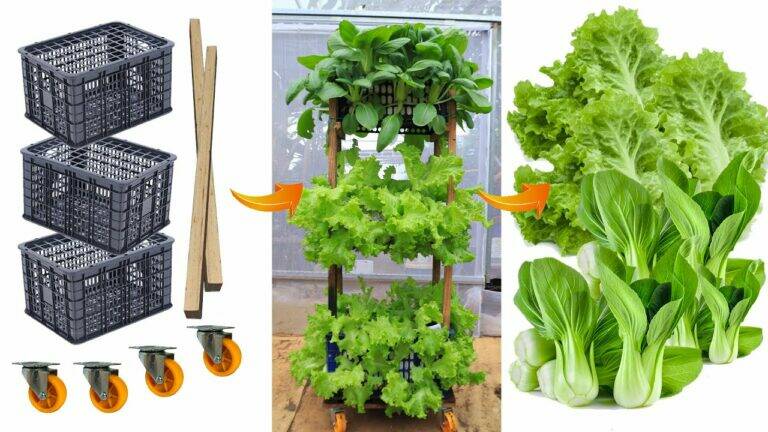 This simple method transforms plastic baskets into a thriving vegetable tower…