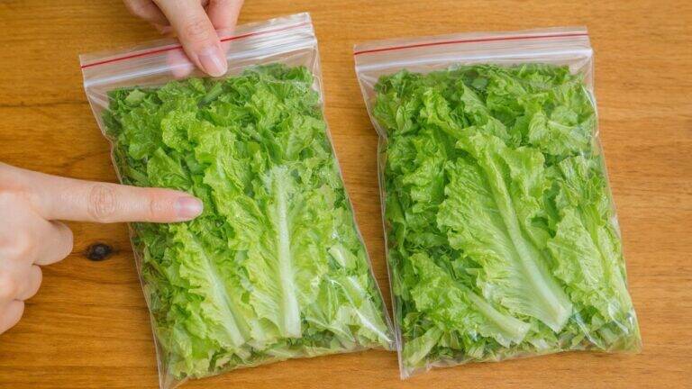 This simple trick keeps your lettuce crisp and green for weeks… you’ll be amazed!