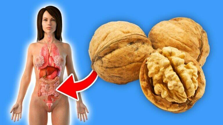 This simple habit of eating walnuts daily transformed her health… you won’t believe the results!