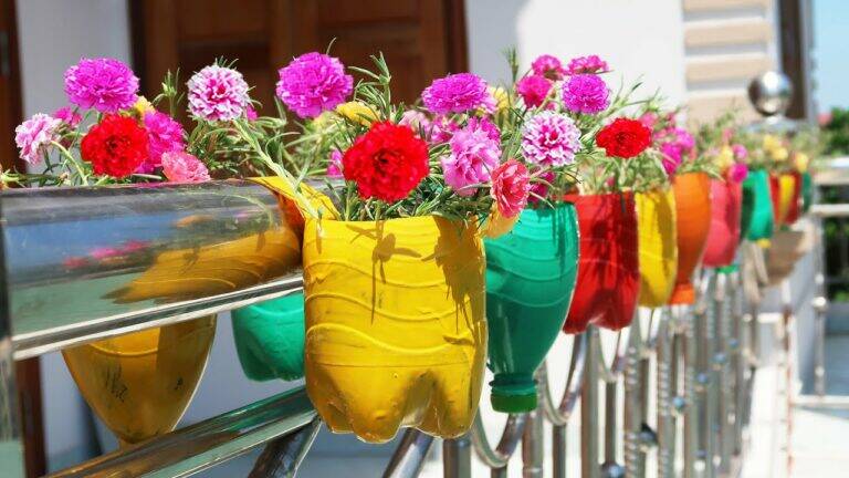 This simple gesture transforms plastic bottles into a stunning hanging garden…