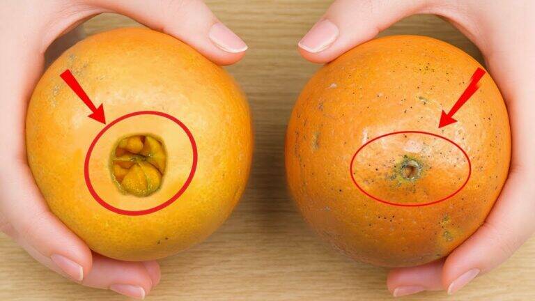 This simple trick will transform your orange-picking game forever…