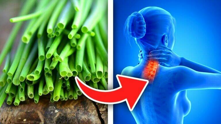 This simple habit of eating chives daily transformed her health in astonishing ways…
