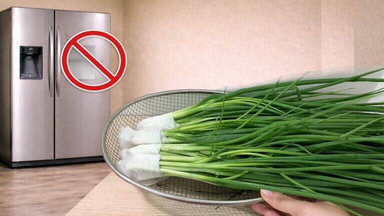 This simple trick keeps green onions fresh for a month without a fridge…