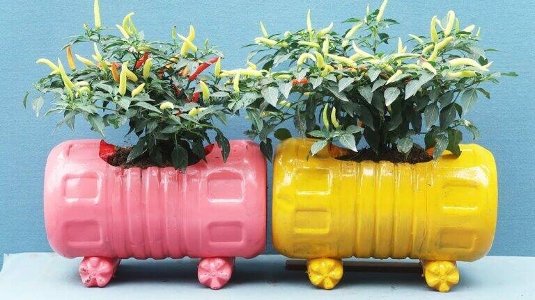 This simple idea transforms empty bottles into stunning garden pots… you’ll love the results!