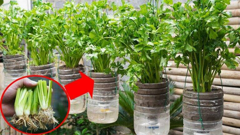 This simple trick turns trash into a powerful PVC repair… you’ll be amazed!