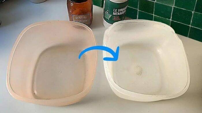 ¿Los Recipientes de Plástico se Han Vuelto Amarillos? Así Puedes Devolverles su Aspecto Limpio con Ingredientes Caseros