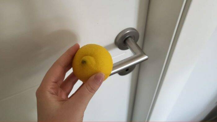 Esfregue um Limão na Maçaneta da Porta: Veja o Que Acontece em Apenas Alguns Minutos