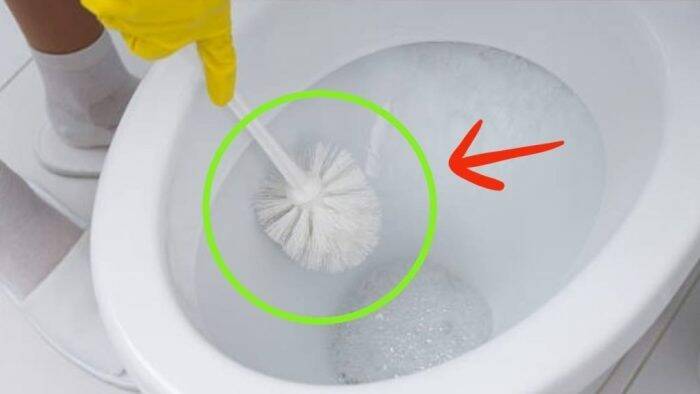 Toilet Brush Hygiene: The Simple Natural Methods to Clean and Disinfect It Properly