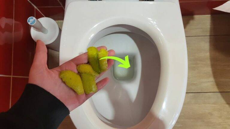 Des écorces de citron dans les toilettes, car tant de gens le font avant d’aller se coucher