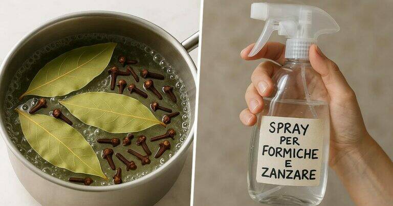 The 3 Ultimate DIY Remedies to Keep Ants, Mosquitoes, Cockroaches, and Flies Away