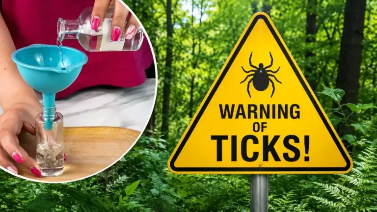 Just One Spray Before Going Outside Can Help Keep Ticks Away