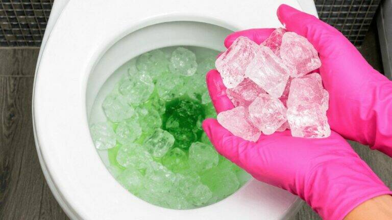 My Last-Resort Toilet Trick? I Throw in Ice—and It Actually Helps