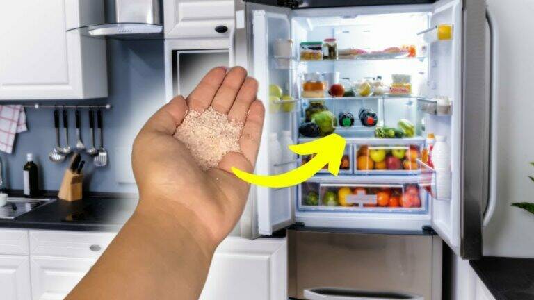This simple step will keep your fridge fresh and odor-free forever…