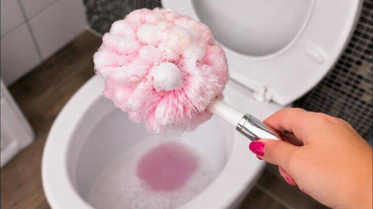 I Had No Idea My Toilet Brush Could Do This Until Today