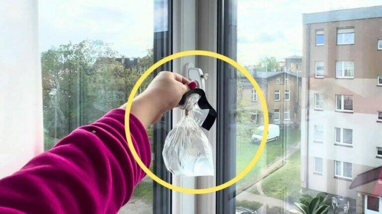 Hänge einfach ein Blatt auf und die Fliegen sind für immer verschwunden…