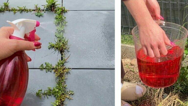 Spray This on Weeds Between the Pavers. They’ll Disappear Faster Than You Think.