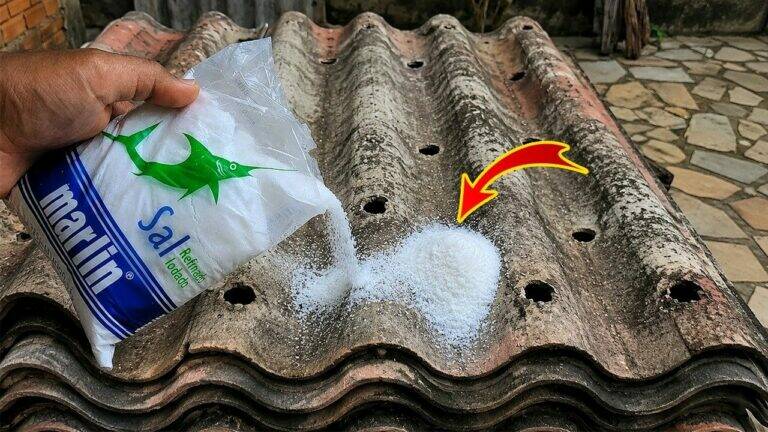 Don’t Throw Away a Cracked Roof Tile! This Simple Salt Trick Can Help You Make a Quick Repair