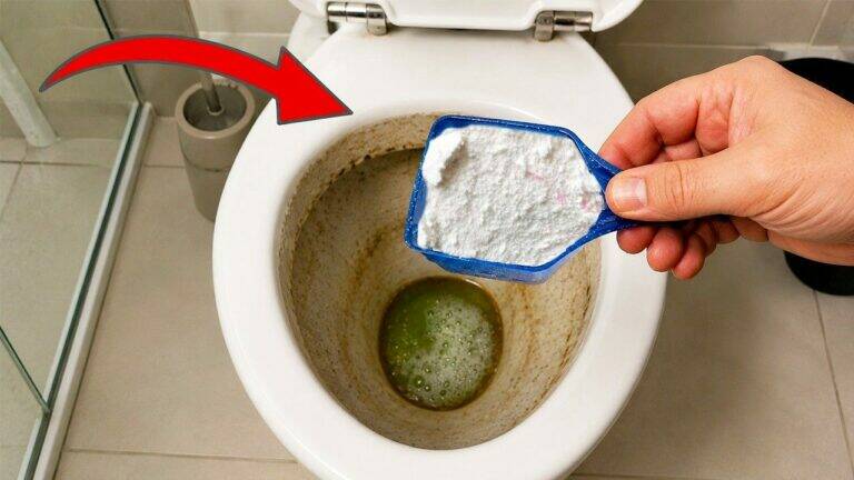 Amazing! This Simple White Powder Helps Remove Toilet Stains and Leave Your Bathroom Fresh