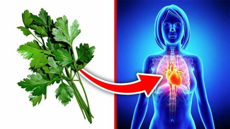 This simple daily habit transforms your health… you won’t guess the secret!