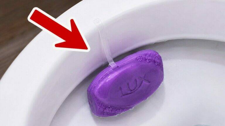 Mettez ceci dans vos toilettes… le résultat va vous étonner !