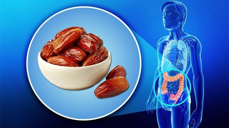 This simple habit of eating 5 dates daily transforms your health in just one week…