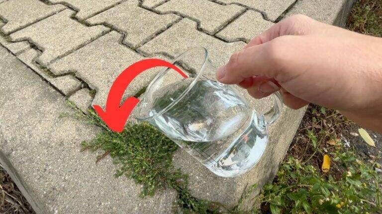 A Simple Homemade Weed Spray That Can Help Dry Out Stubborn Weeds