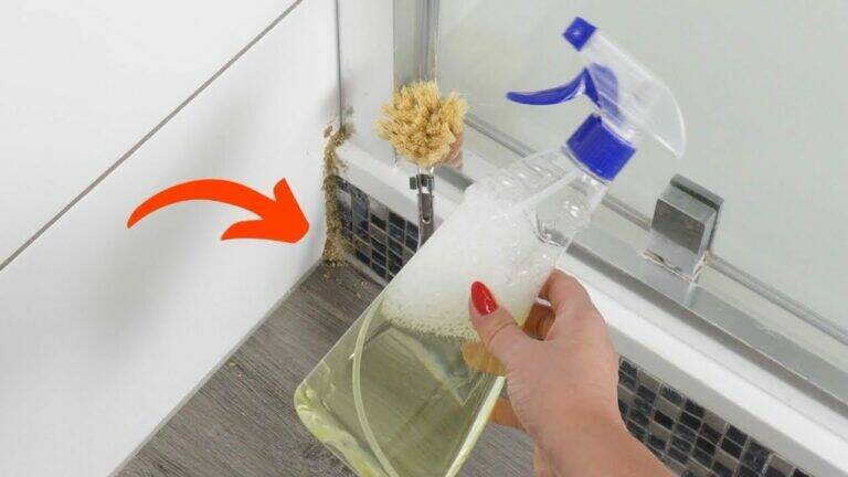 How to Remove Mold from Shower Grout in Just a Few Steps