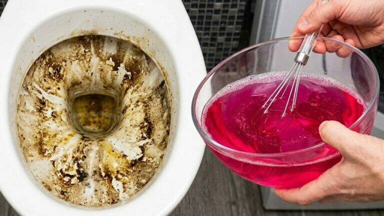 This Is What Happens When You Pour This Into a Dirty Toilet
