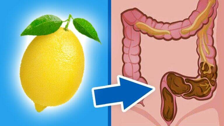 This simple discovery can transform your gut health with these 9 powerful foods…
