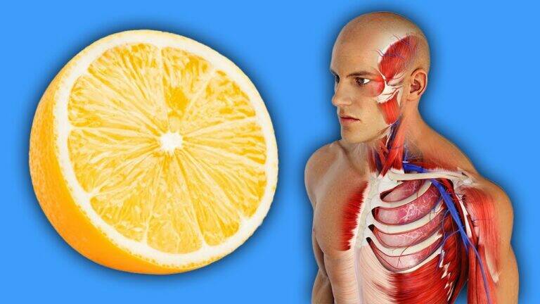 This simple trick can transform your sleep by placing lemons next to your bed…