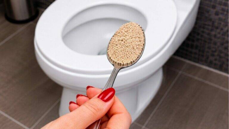 Since I Started Pouring This Into My Toilet Overnight, It Has Stayed Fresh and Trouble-Free