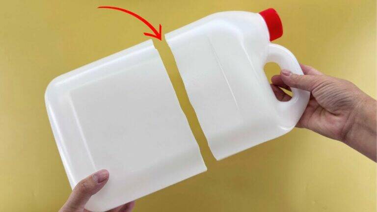 This forgotten trick transforms plastic bottles into stunning garden decor…