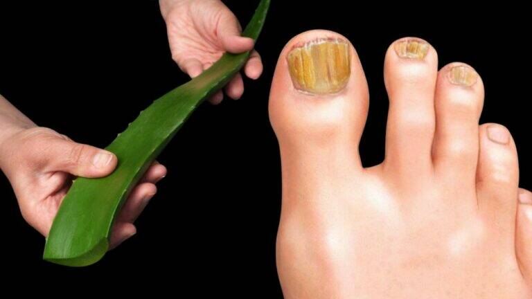 An old trick to transform your health using this powerful plant…