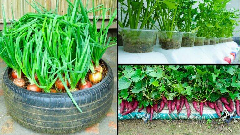 This simple method transforms tiny spaces into lush organic gardens…