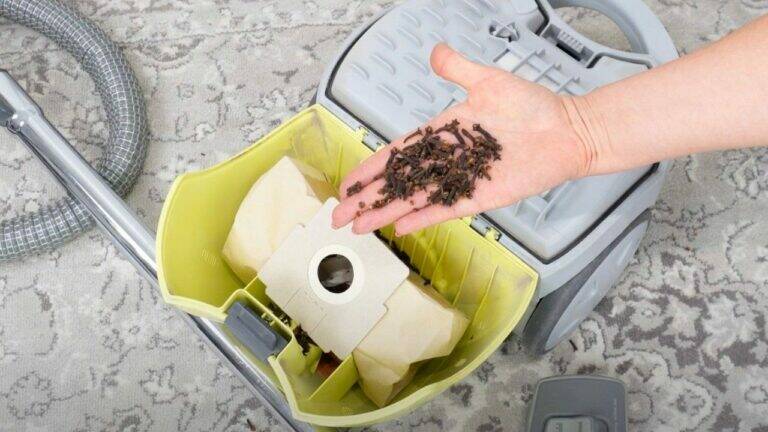 Mettez ce mélange dans votre aspirateur : votre maison sentira bon à chaque passage
