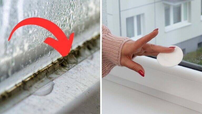 This simple spray makes mold vanish from windows… and it won’t return!