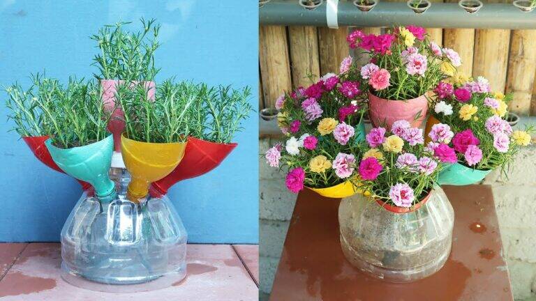 This simple trick transforms plastic bottles into stunning Portulaca gardens…