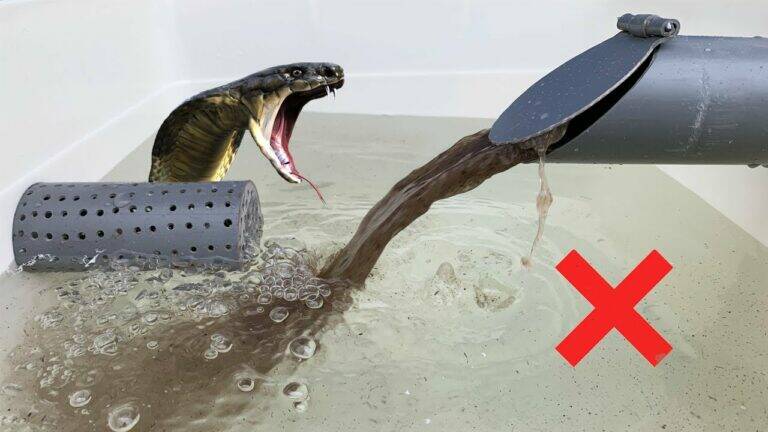 This forgotten trick transforms paint cans into a genius wastewater solution…