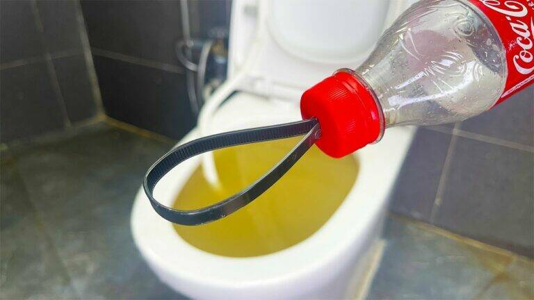 This simple trick transforms empty bottles and PVC pipes into amazing toilet solutions…