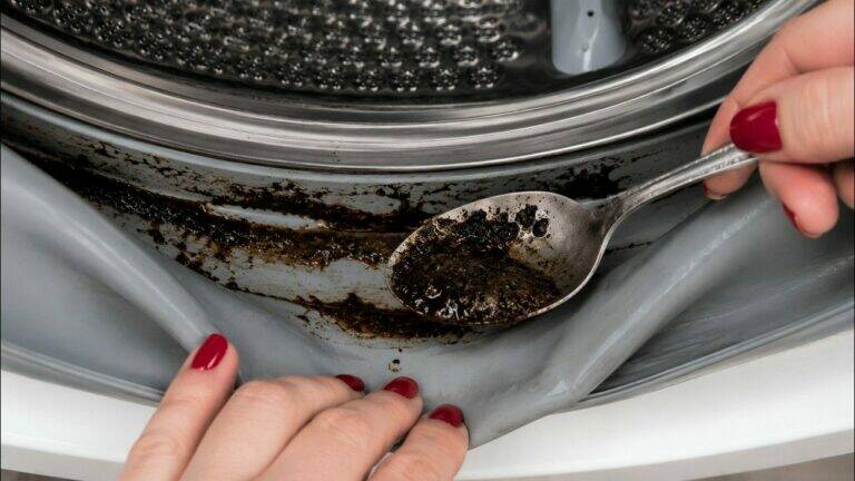 Je pensais que les canalisations étaient en cause… jusqu’à ce que je vérifie ma machine à laver