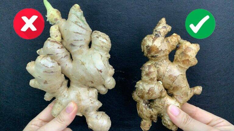 This simple way to choose fresh ginger will change your cooking forever…