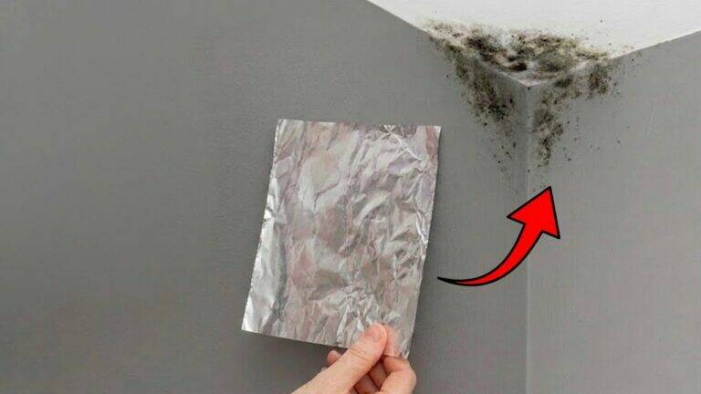 Stick Aluminum Foil to the Wall. After One Night, You’ll See the Truth