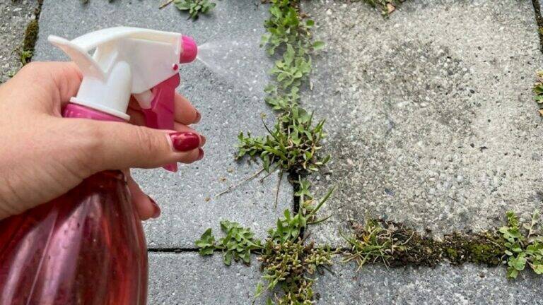 Forget Pulling Weeds by Hand. This Homemade Mix Does the Hard Work for You
