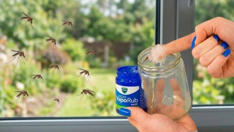 One Simple Jar Is Enough – Mosquitoes Will Stay Away from Your Home