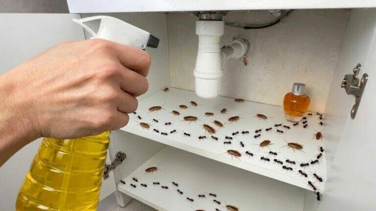 I Spray This Around My Front Door – Ants, Flies and Cockroaches Stay Away