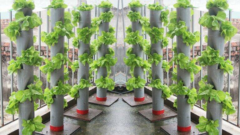 This simple gardening technique transforms PVC pipes into a gorgeous watering system…