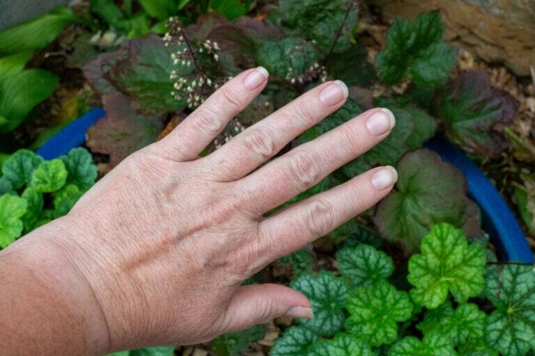 How to Garden AND Have Soft Hands and Great Nails